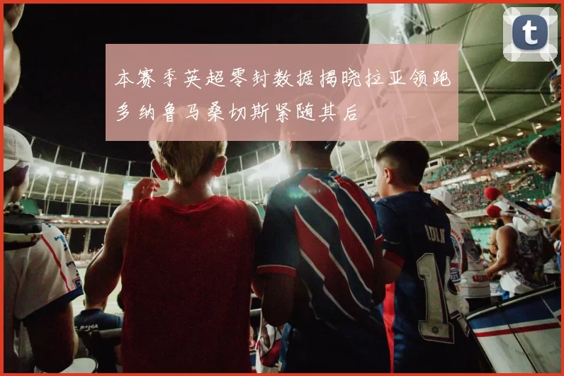 本赛季英超零封数据揭晓拉亚领跑多纳鲁马桑切斯紧随其后